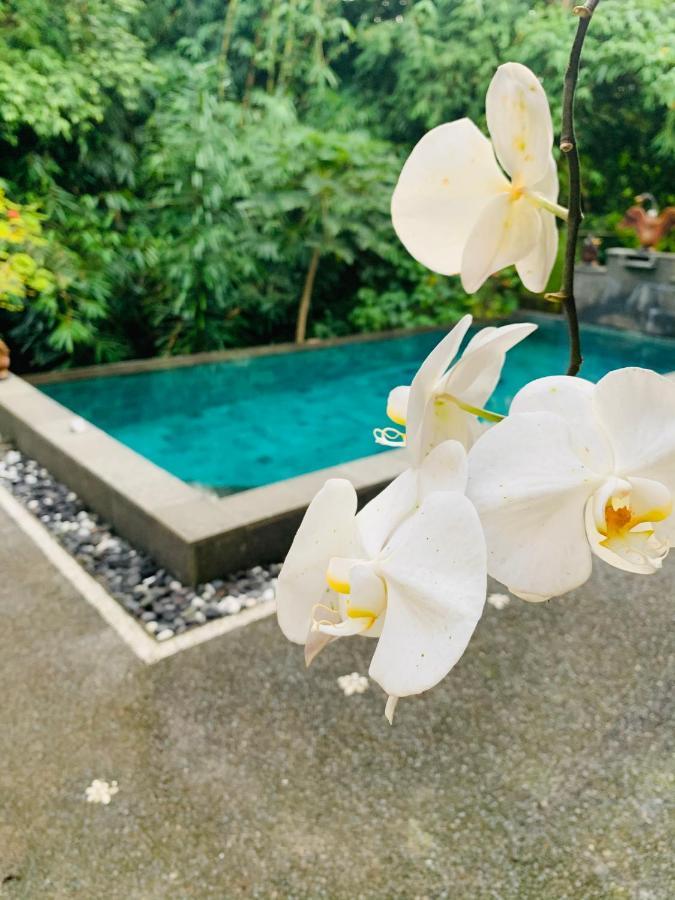 Gek House Ubud  Exterior photo